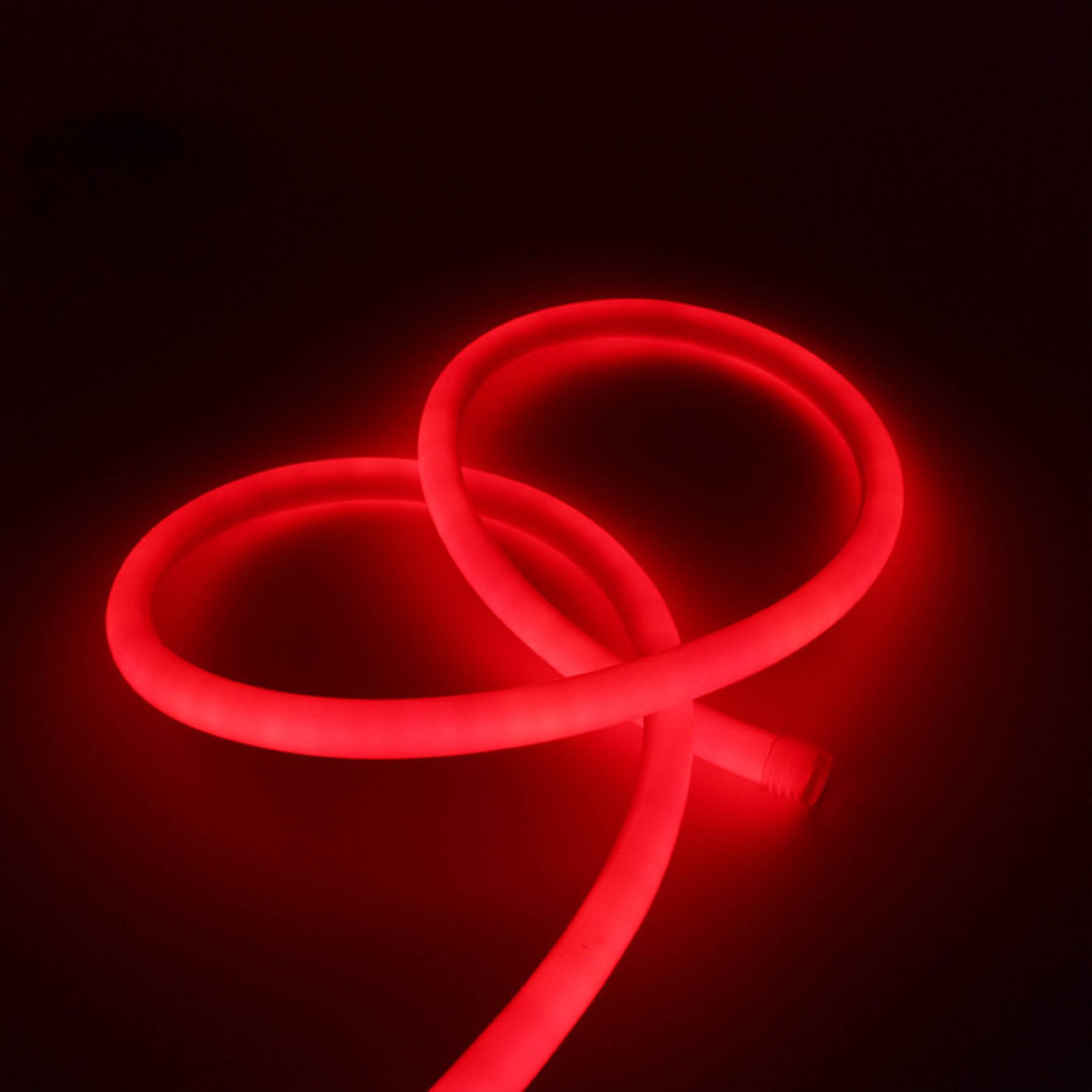 Customized Neon Sign 6