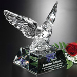 Graceful Eagle 4