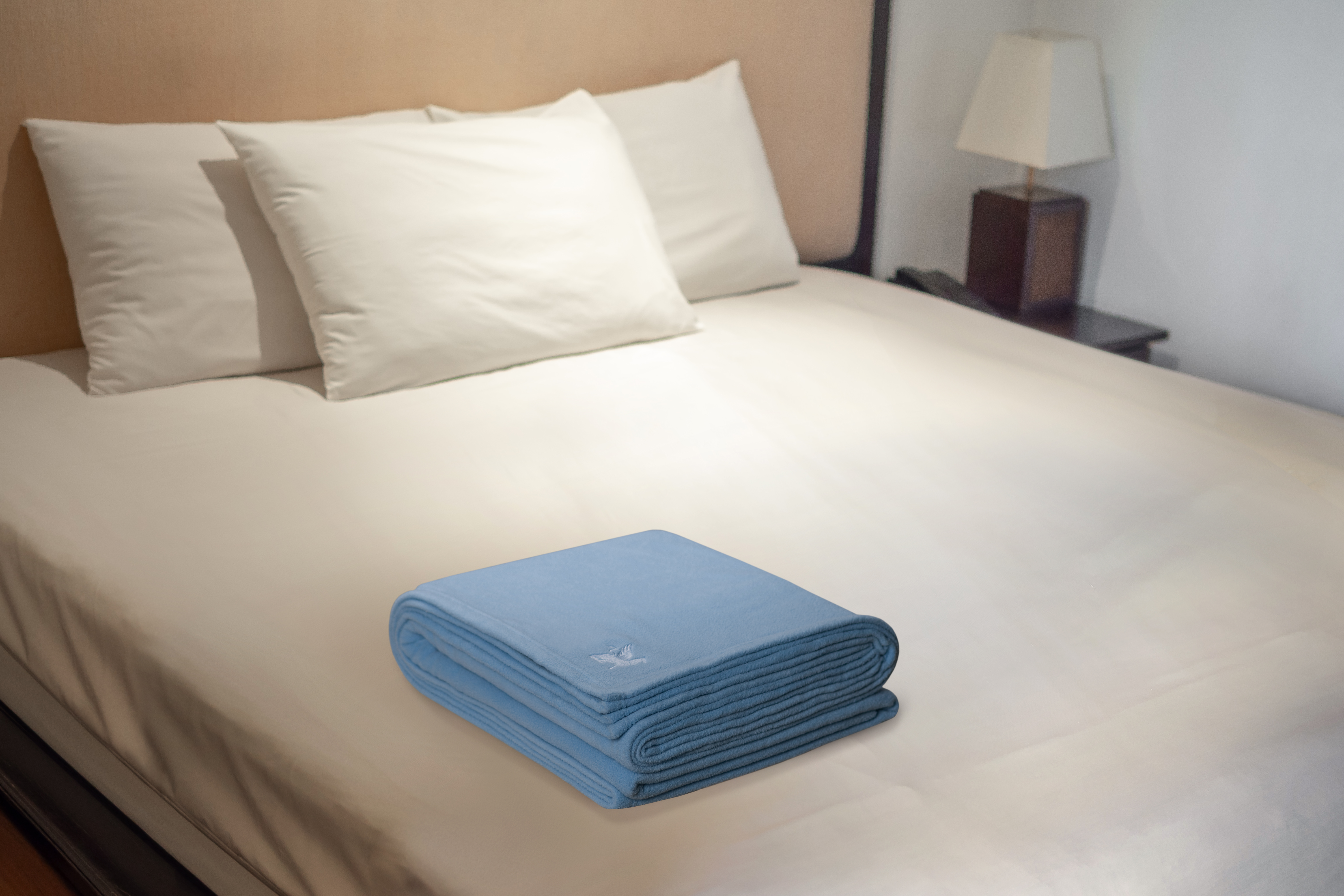 Light Blue 100% Polyetser Antipill Twin Fleece Blanket 2