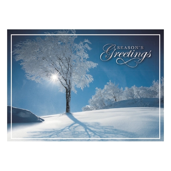 Sky Blue Winter Wishes Holiday Greeting Card 1