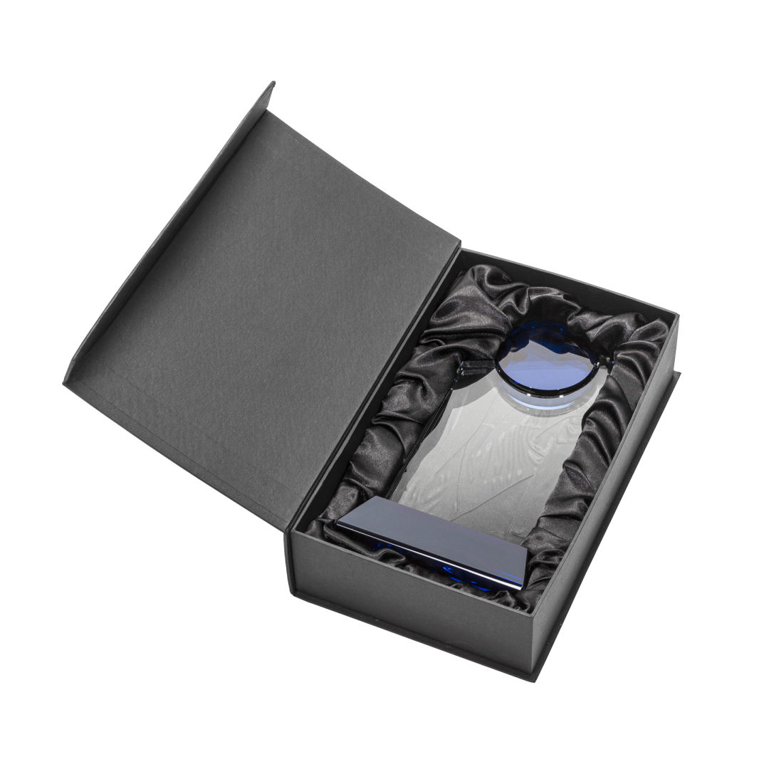 Fleet Award - Optical 10