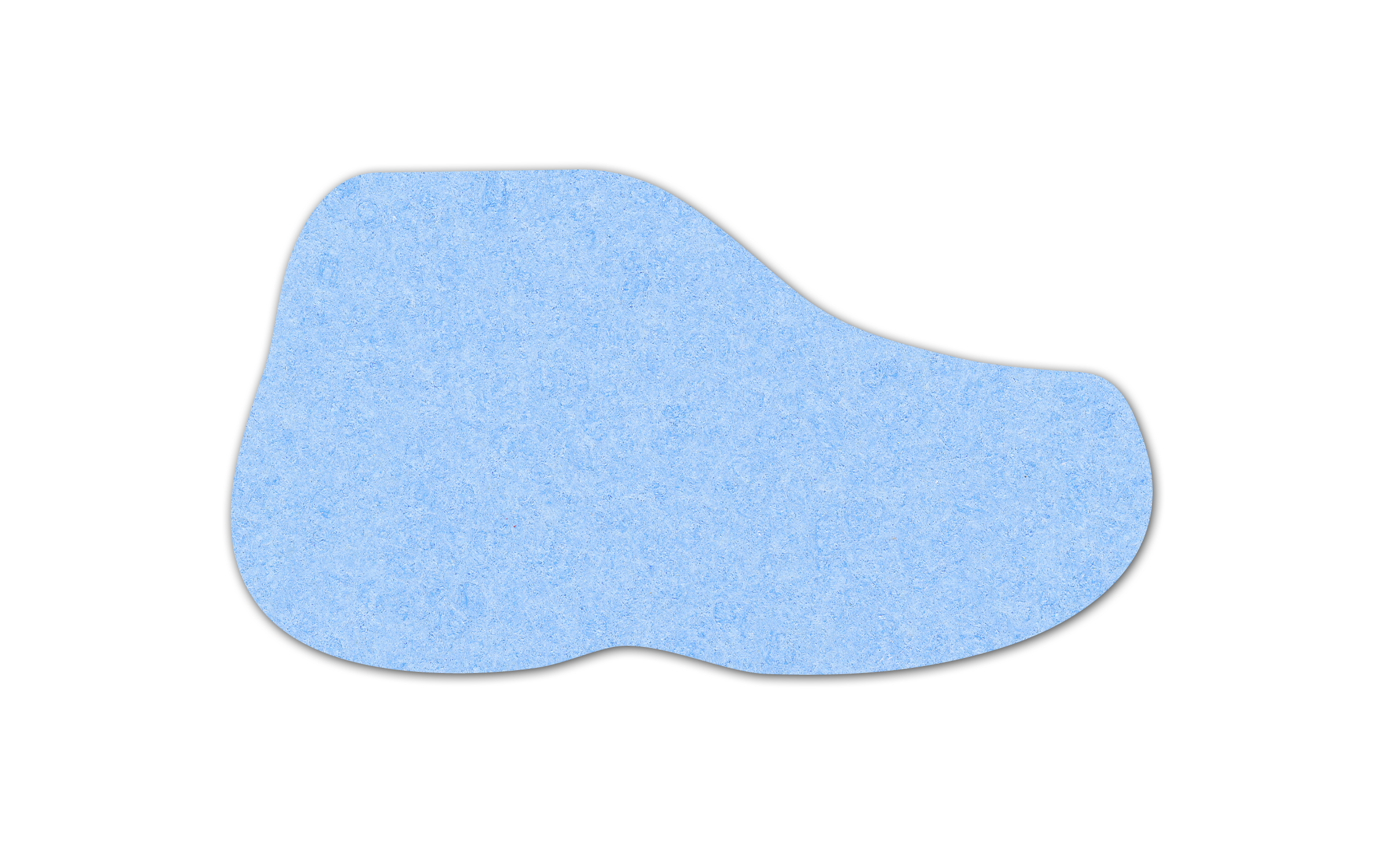 Sneaker Compressed Sponge 9
