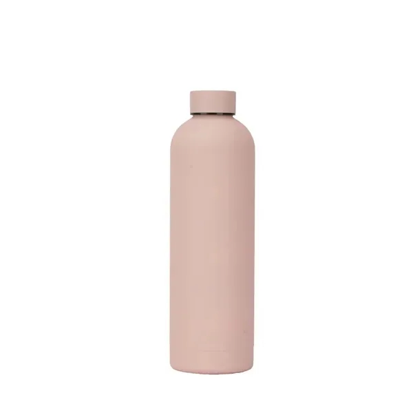 Stainless Steel Insulated Water Bottle with 17 oz Mouth 6