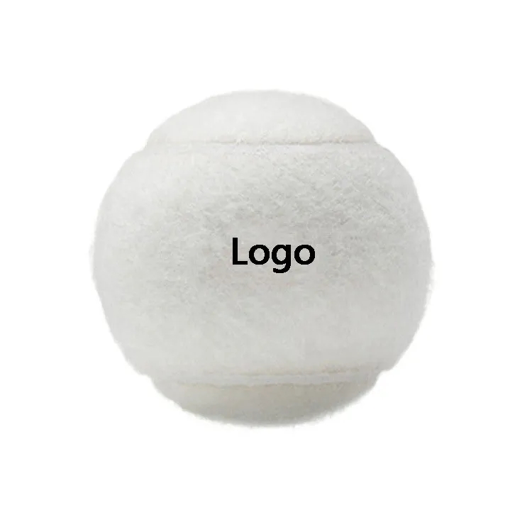 Pet Training Ball 3