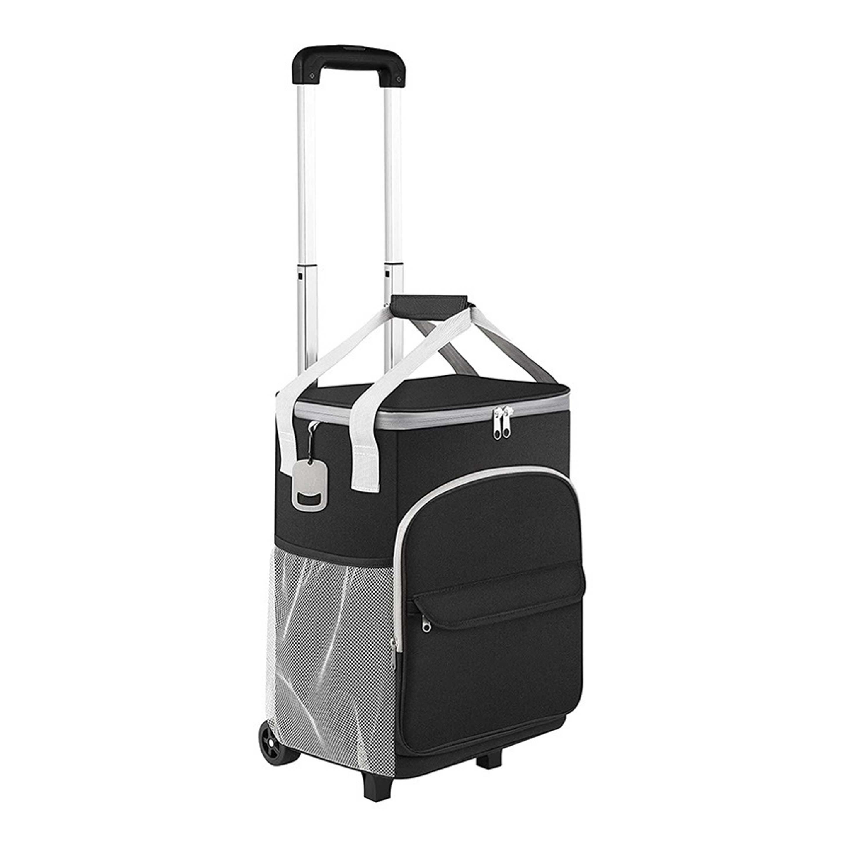 Cooler Bags with Wheels (direct import) 5