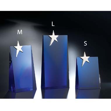 STAR PERFORMER OPTIC CRYSTAL (LARGE) 2