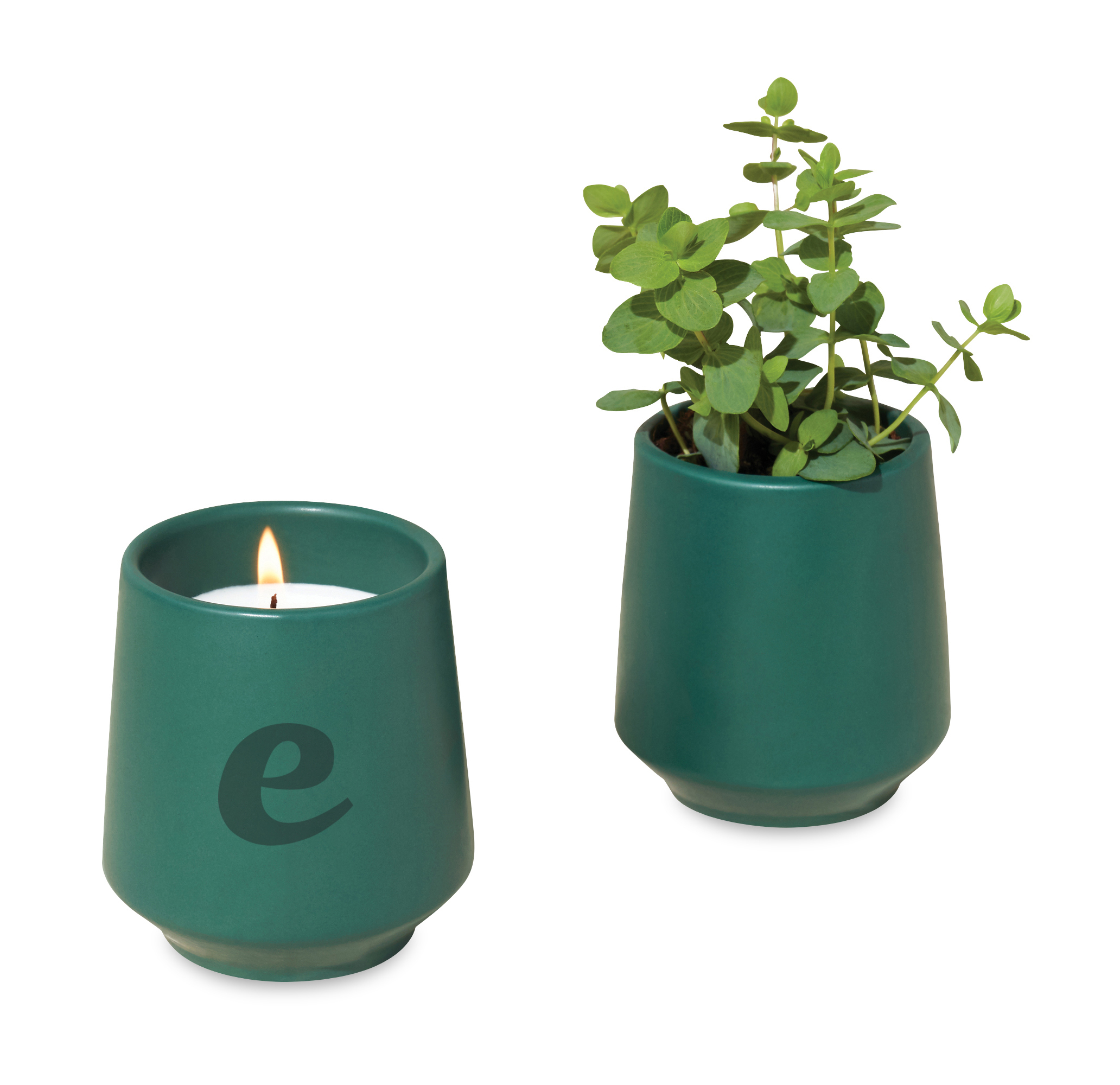Modern Sprout® Rooted Candle 29