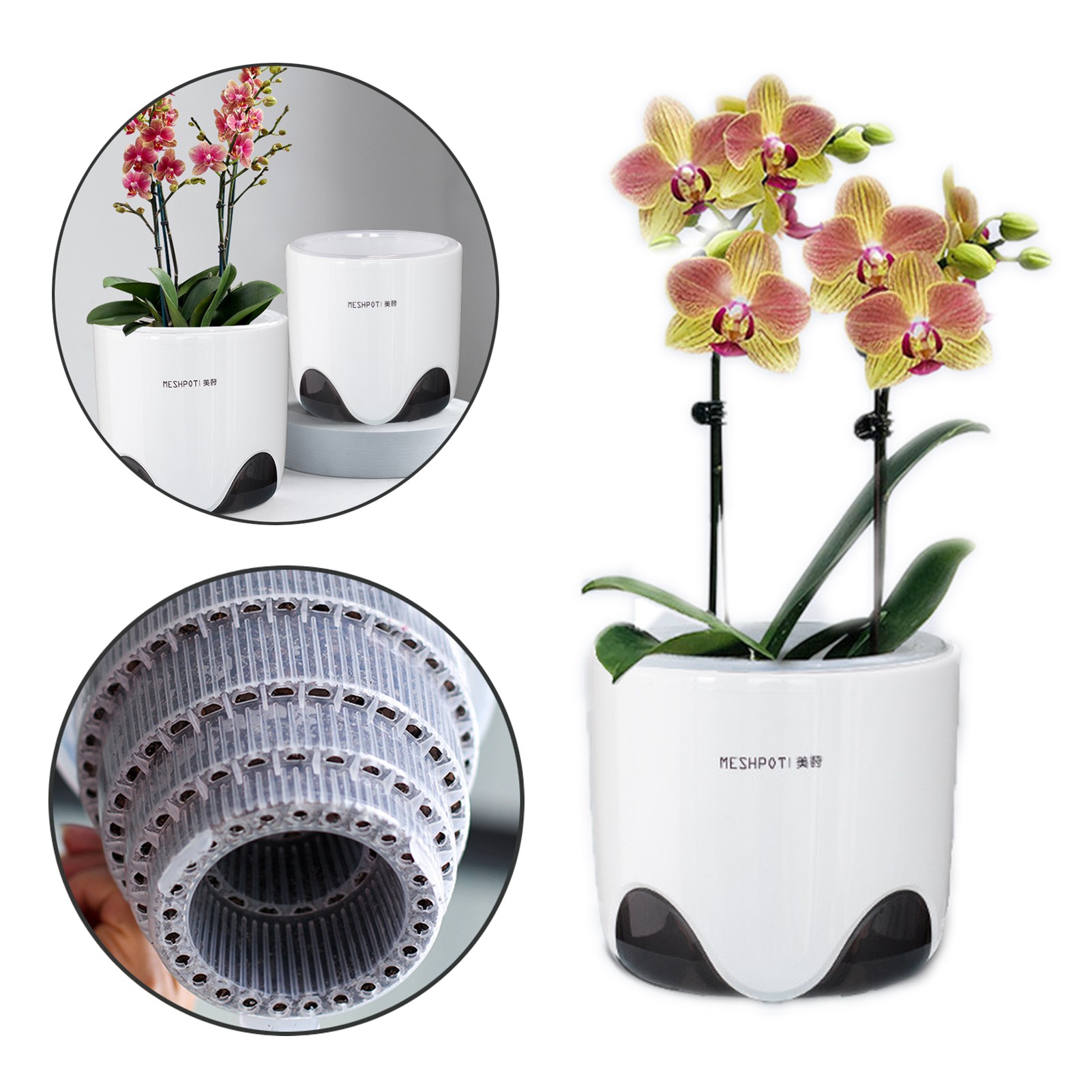 5 inch Orchid Pot with Holes 2