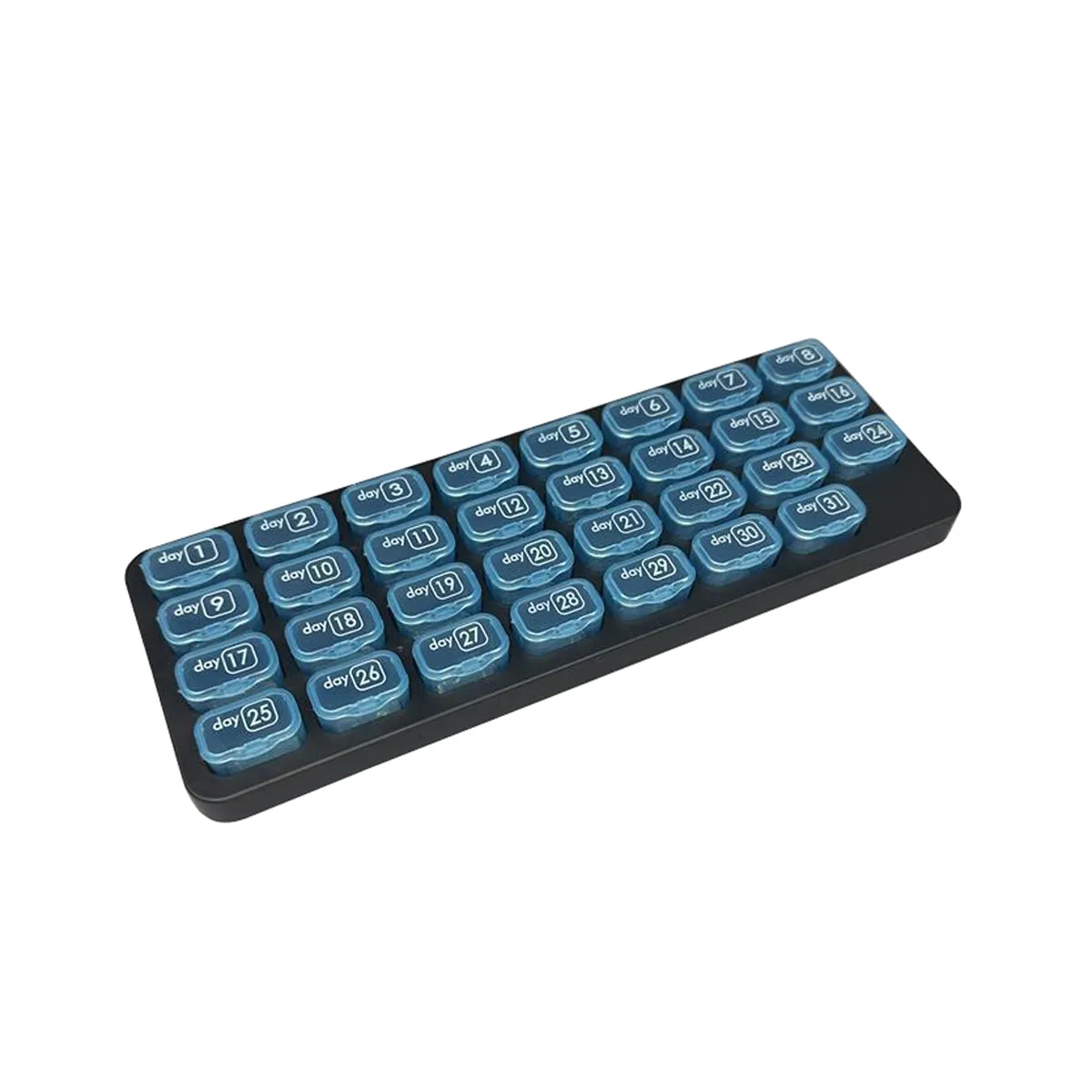 Monthly 31 Grid Pill Box 8