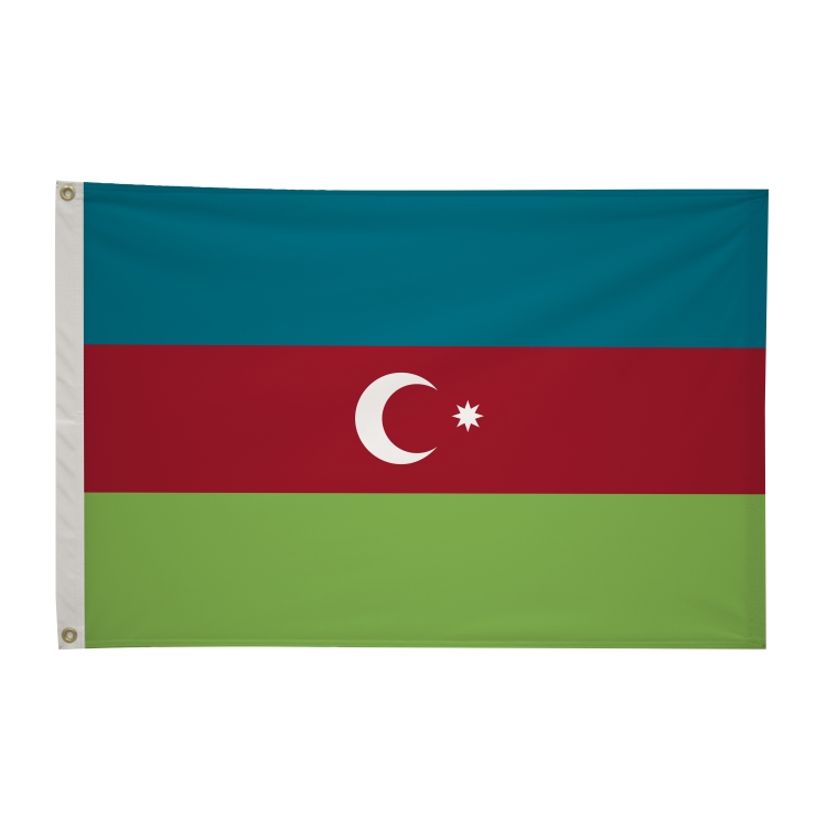 2' x 3'International Flag 307