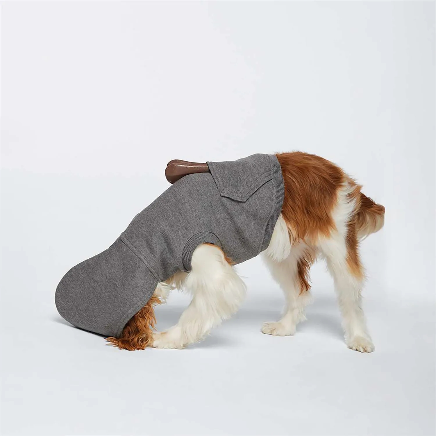 Doggie Skins 3-End Fleece Hoodie 3
