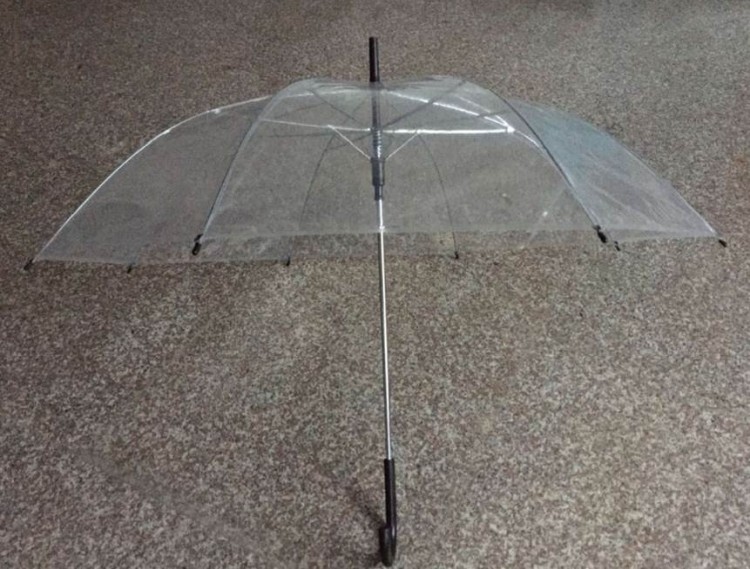 Promotion Logo Customized Transparent Umbrella 1