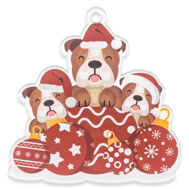 Custom Acrylic Christmas Ornaments 22