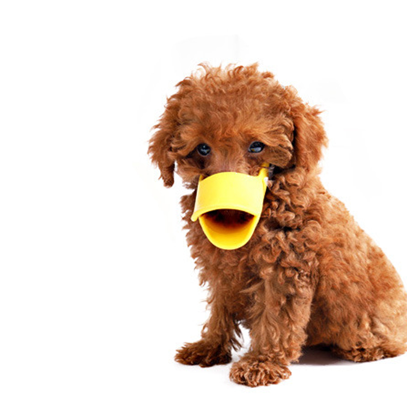 Medium Dog Muzzle 6