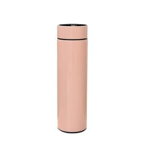 Water Bottle 25