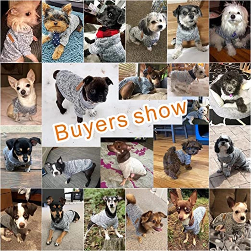 Letters Winter Pet Dog Hoodies Cotton Warm Clothes 4