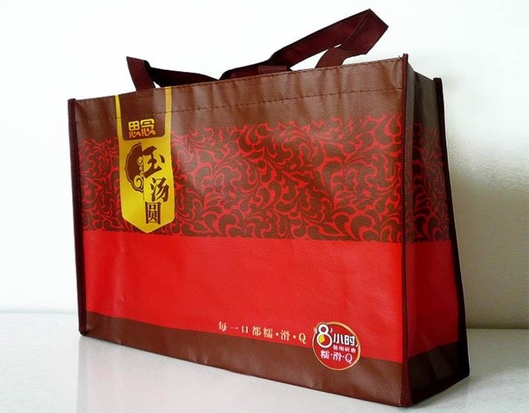 120gsm PP Coated Non-woven Shopping Bag 1