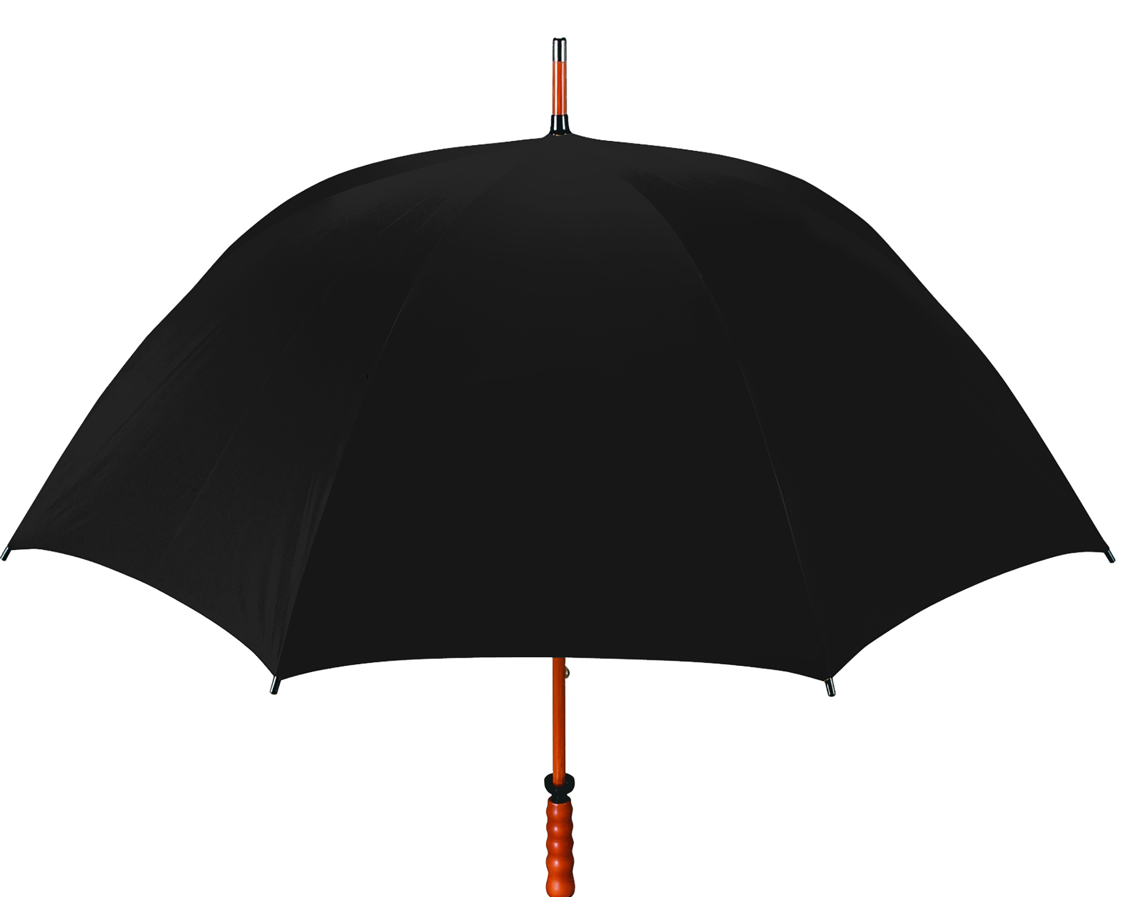 The Eagle Umbrella 5