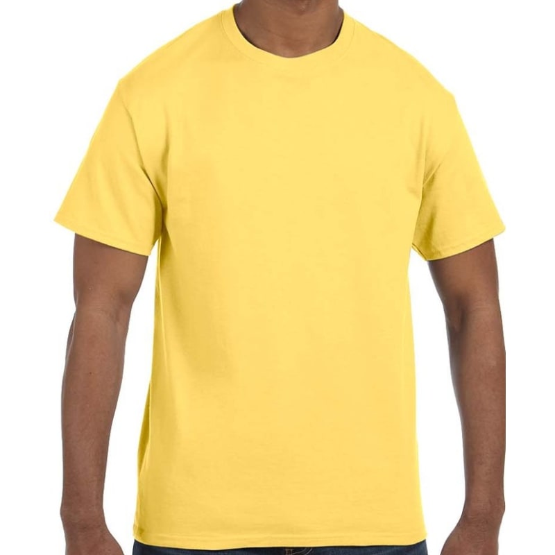 Hanes Men's Authentic-T T-Shirt 4