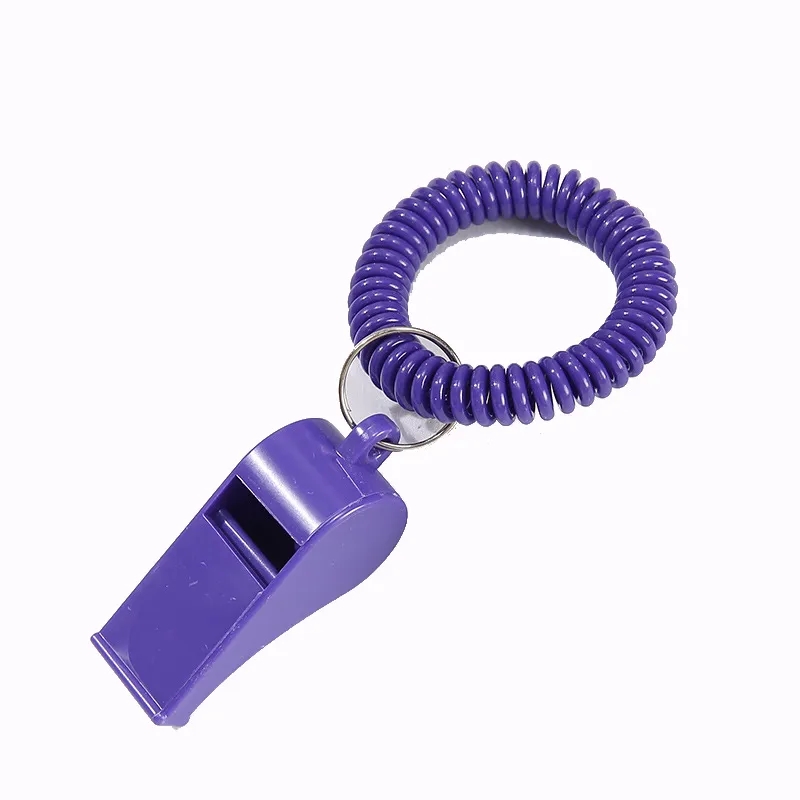 Promotional Whistle Coil Key Chain 1