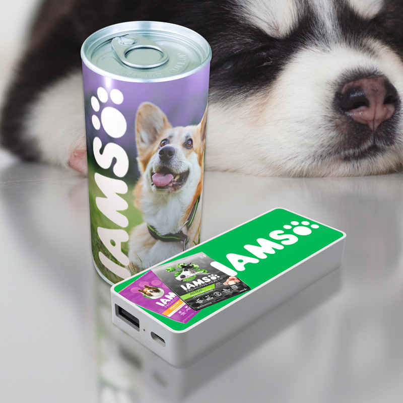 Power Shot 10 - 3000 mAh Power Bar in Branded Can 4