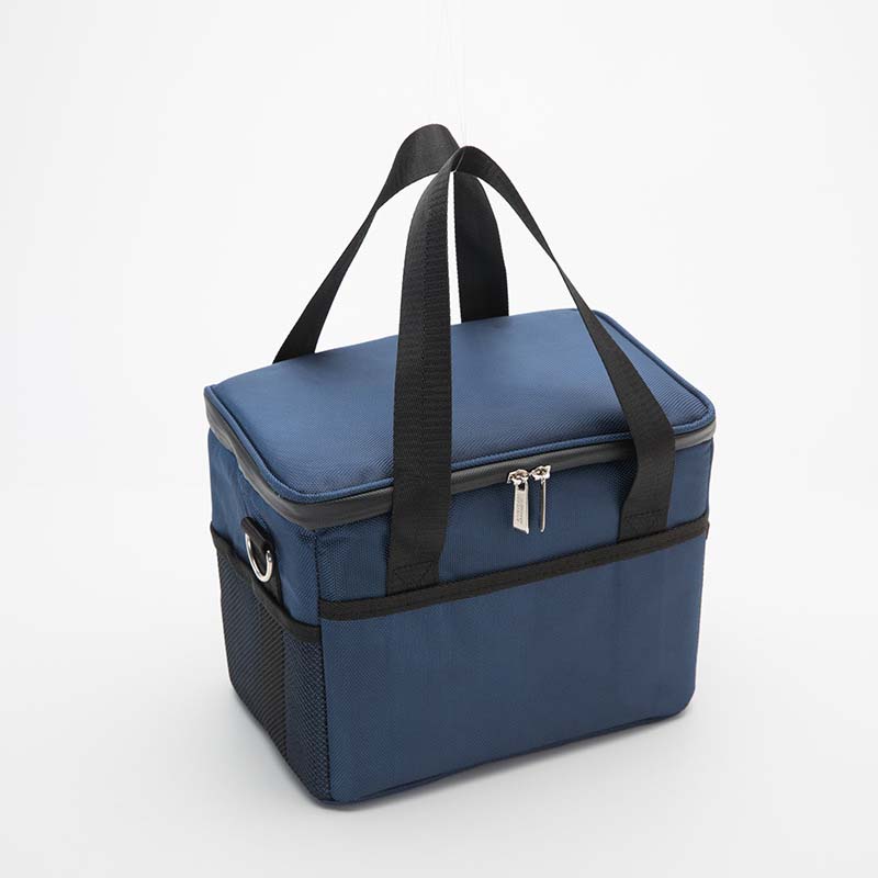 Collapsible Cooler Bag 2