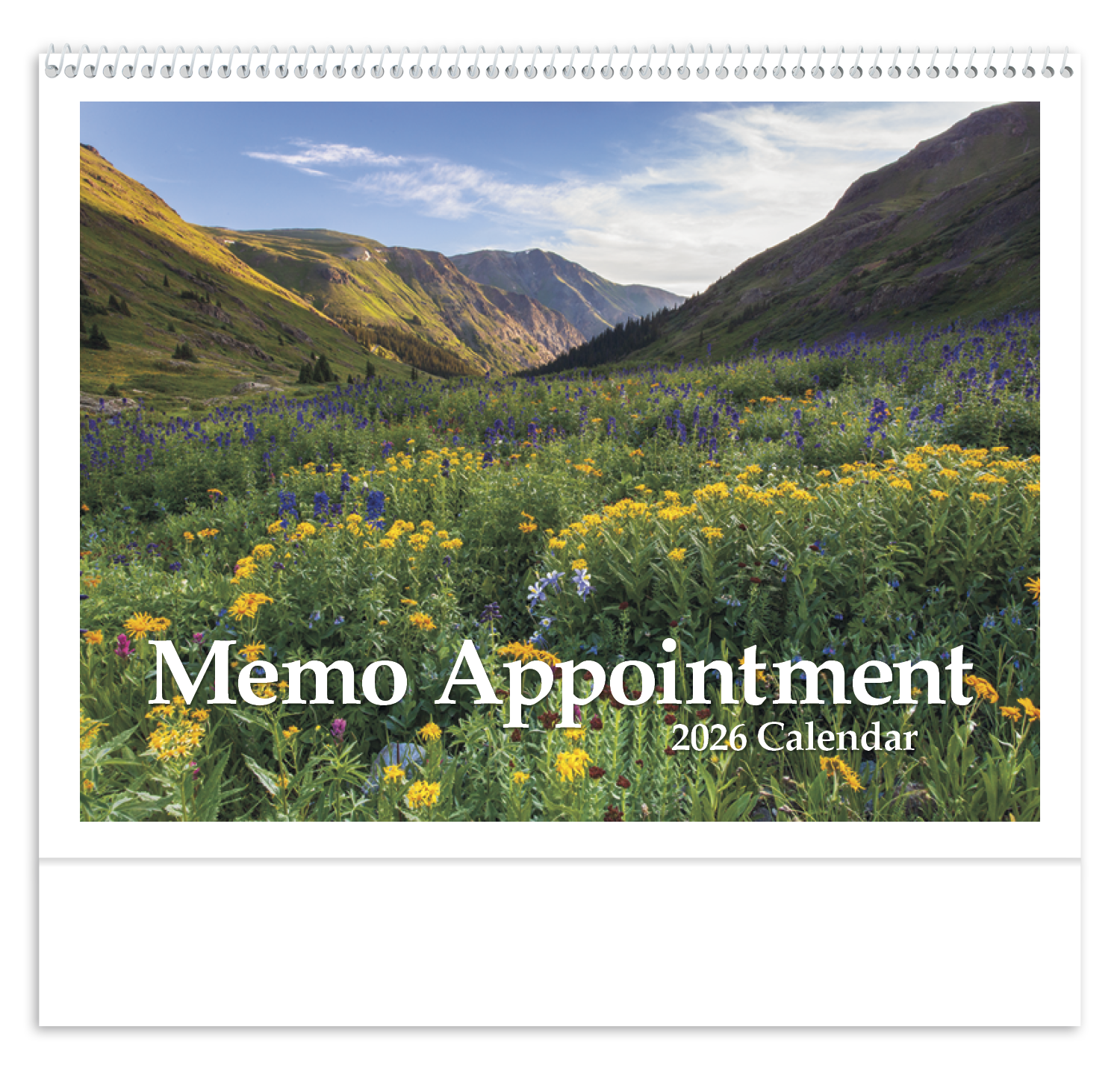 Triumph® Calendars Memo Appointment with Picture 16