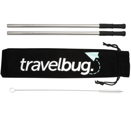 Reusable Stainless steel Straw Set with Brush 12