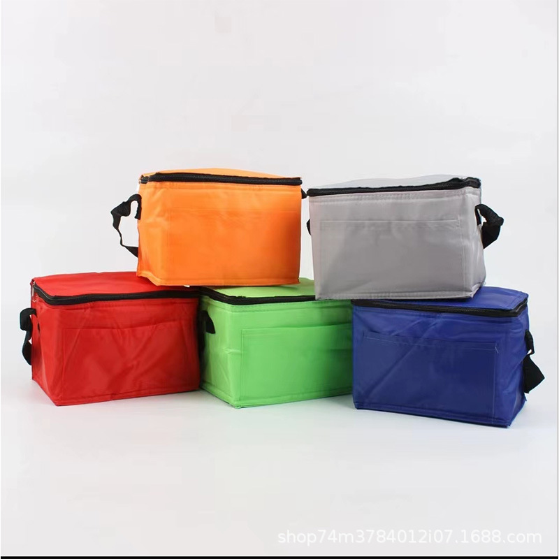 Springs 6-Pack Insulated Cooler Bag 2