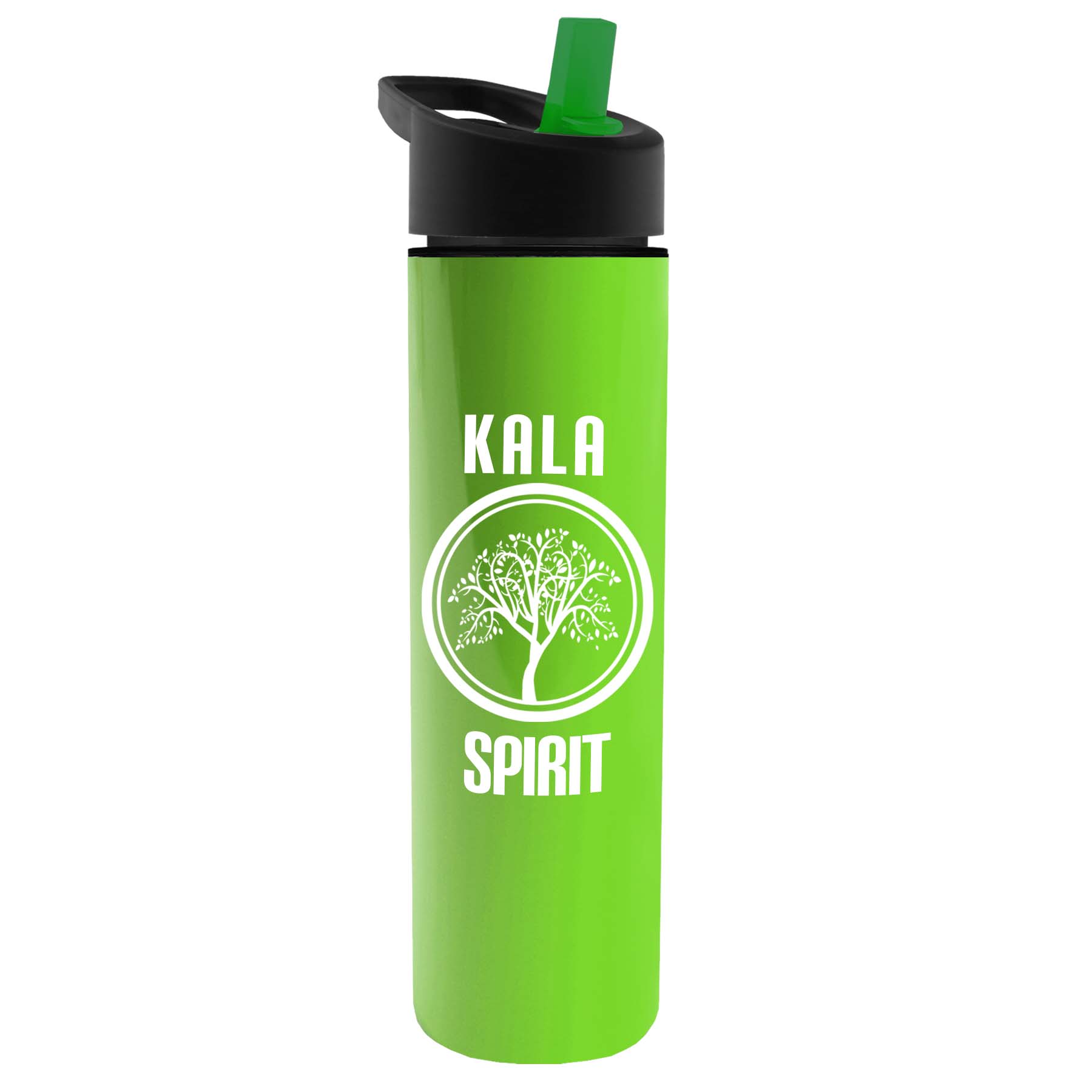 The Chiller - 16 oz. Double Wall Insulated Bottle with Flip Straw 7