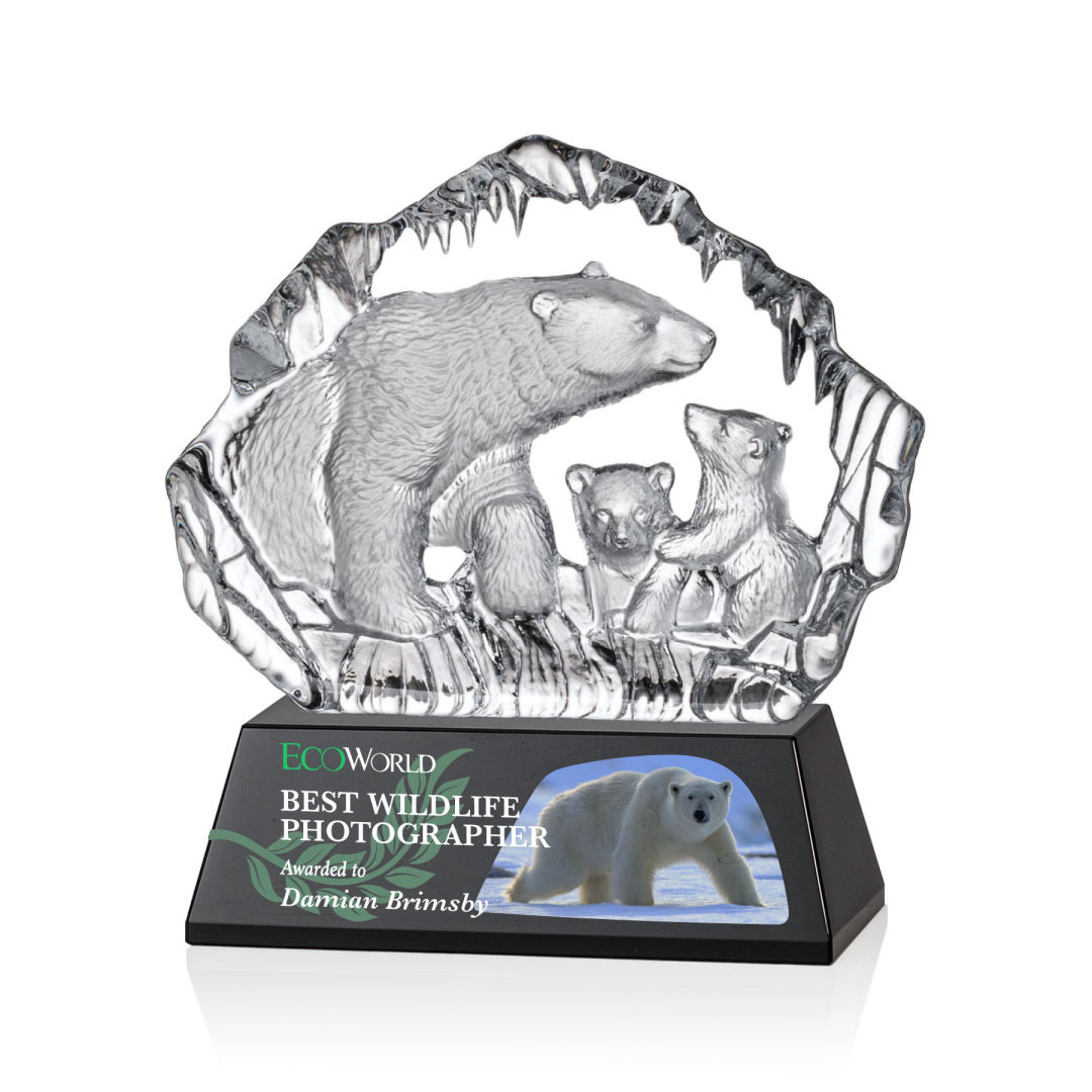 Ottavia Polar Bears VividPrint™ Award 12