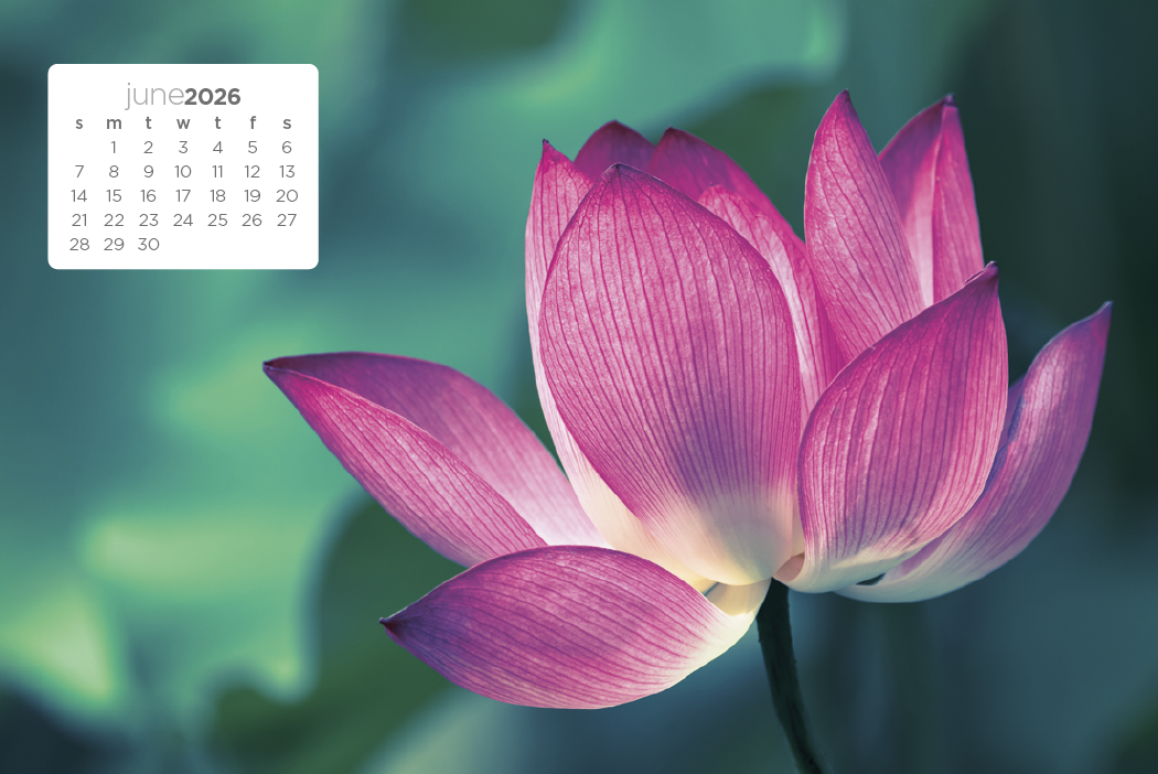 Triumph® Calendars Simplicity Large Desk Calendar 47