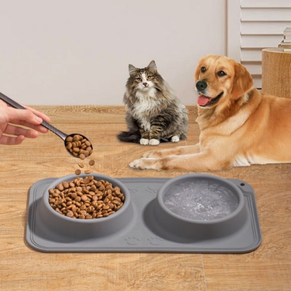 Pet Health Bowl 3