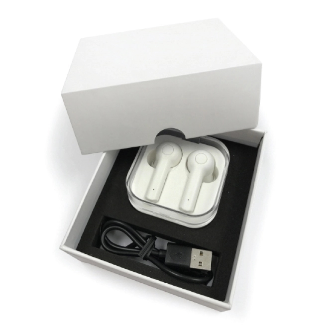 True Wireless Earbuds with Charging Case 2
