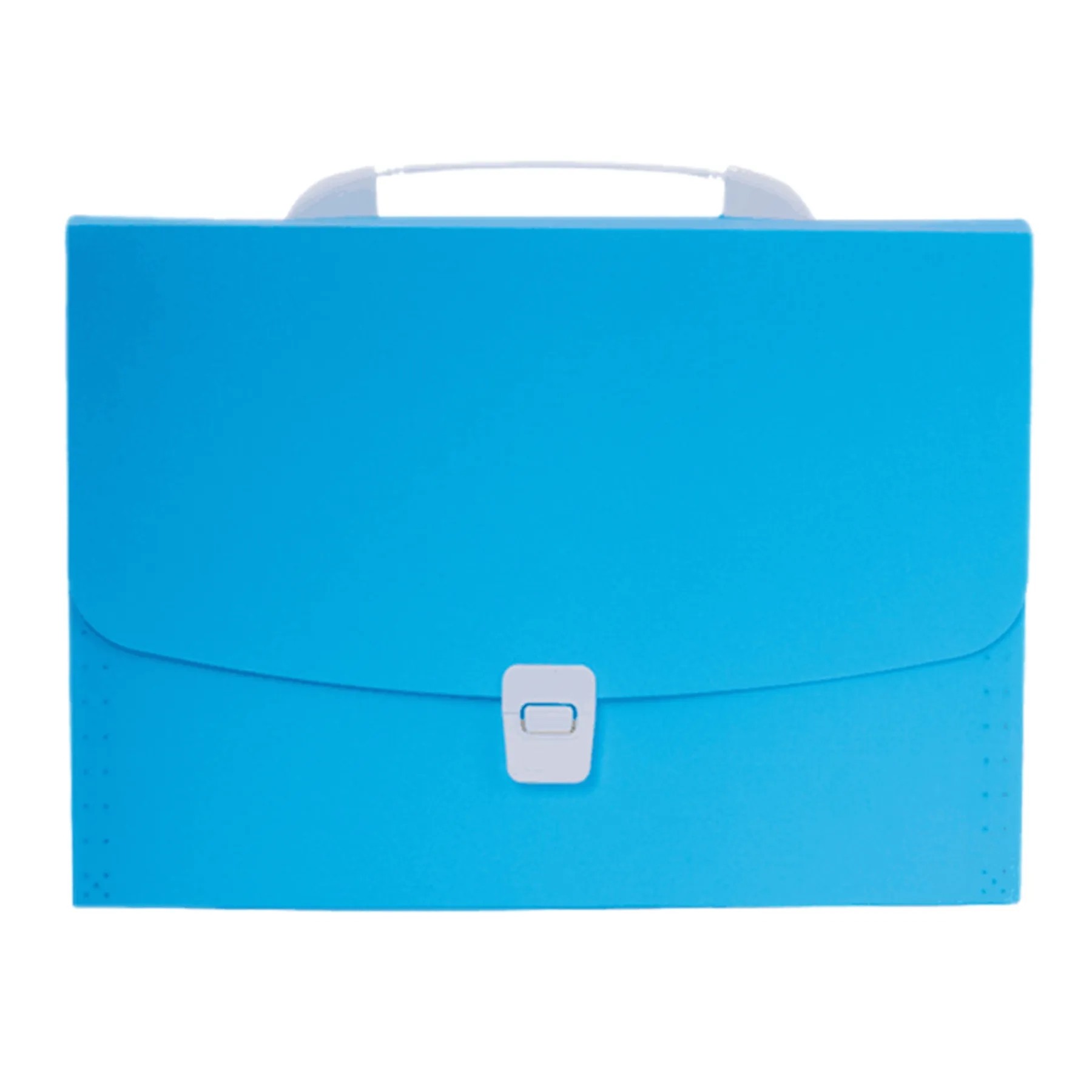 Portable Translucent Folder Bag 8