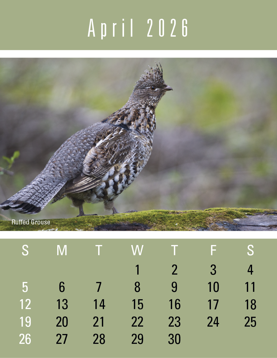 Press-N-Stick Sportsmen Calendar