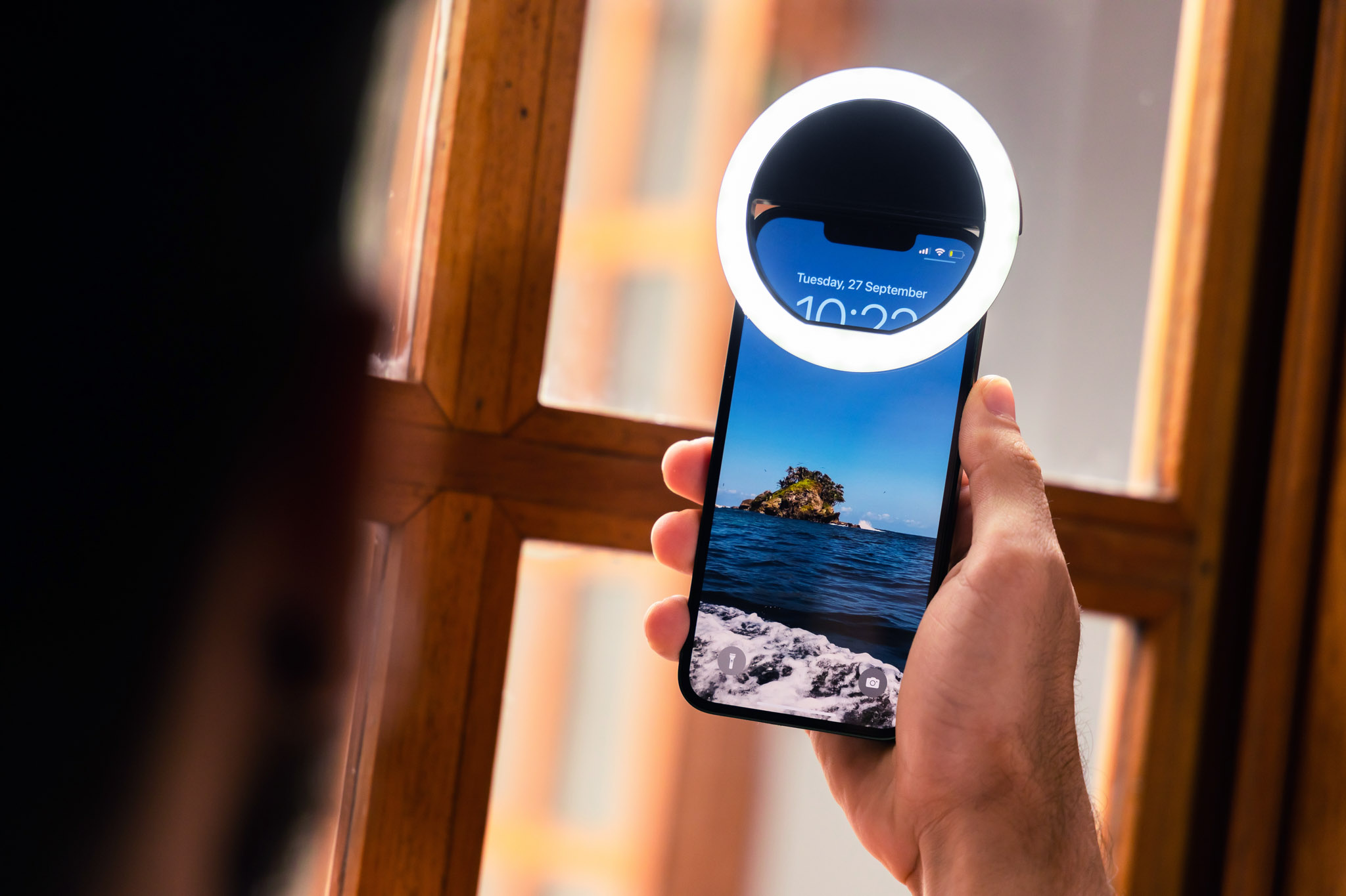 Zoom / Selfie Ring Light 31