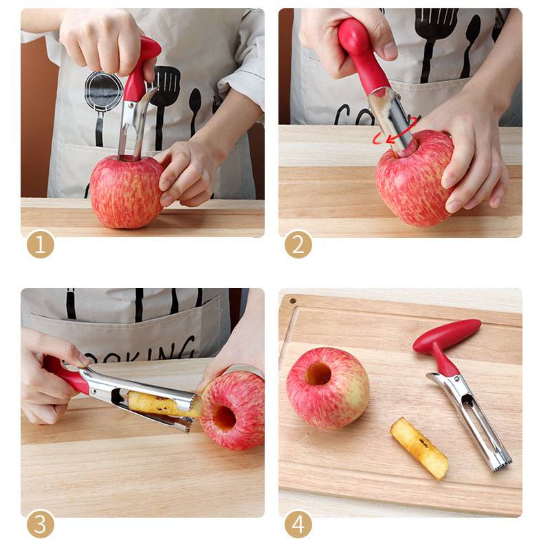 Stainless Steel Fruit Pitter 4