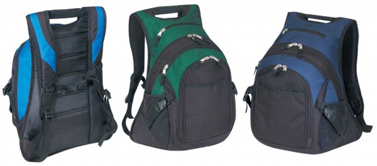 Deluxe Computer Backpack 2