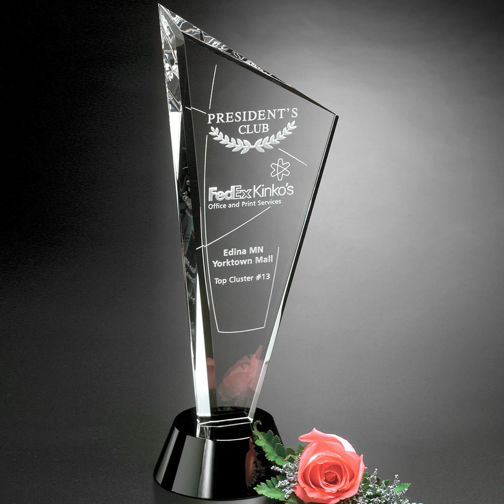 Invincible Award 13
