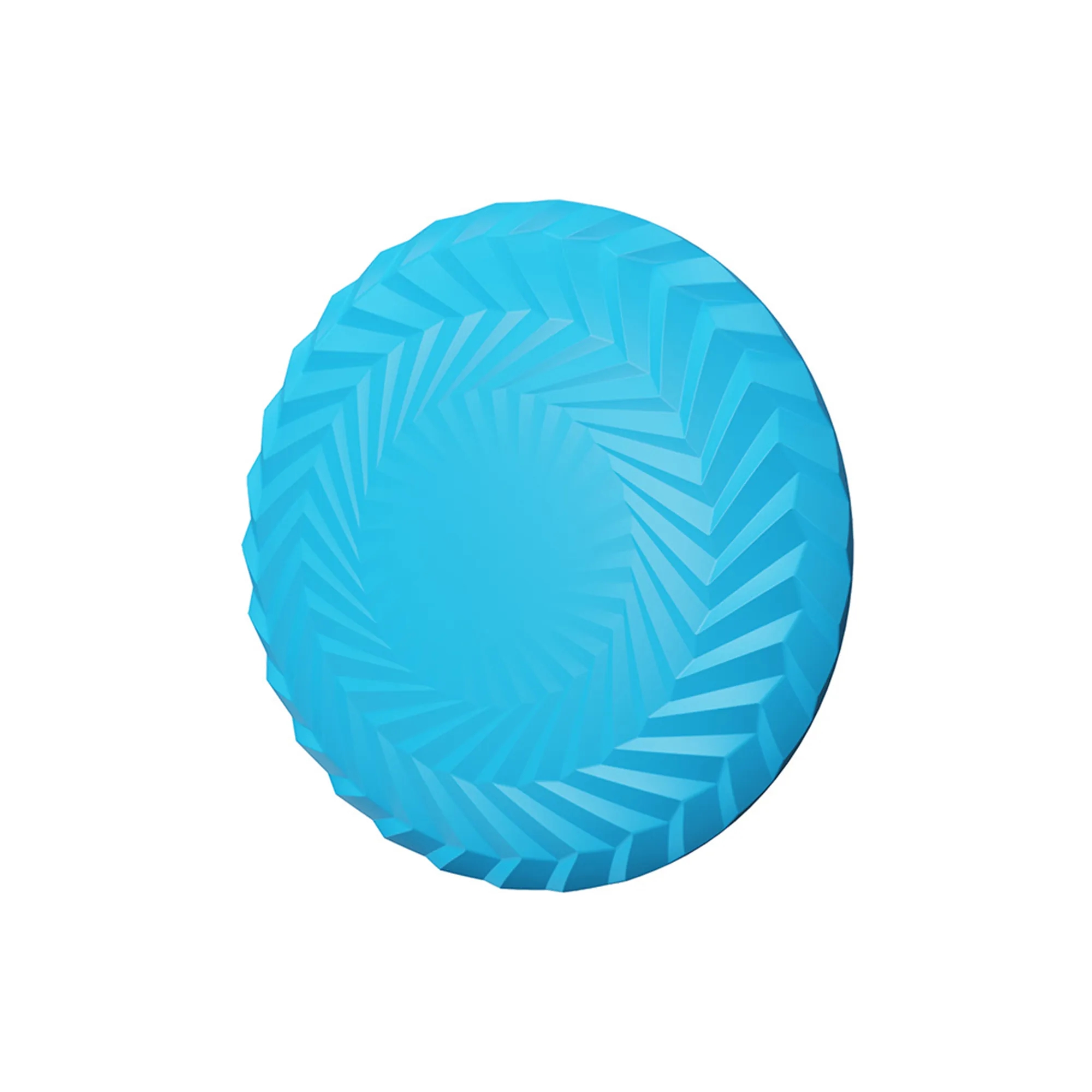Pet Flying Disc 5
