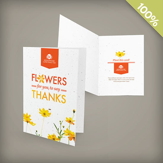 Double-Sided Medium Plantable Greeting Cards 6