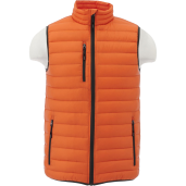 Men's Whistler Light Down Vest 25