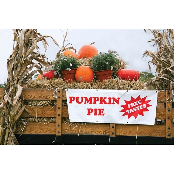 Digital Printed 10 oz Vinyl Banner 1-3 sq/ft 1