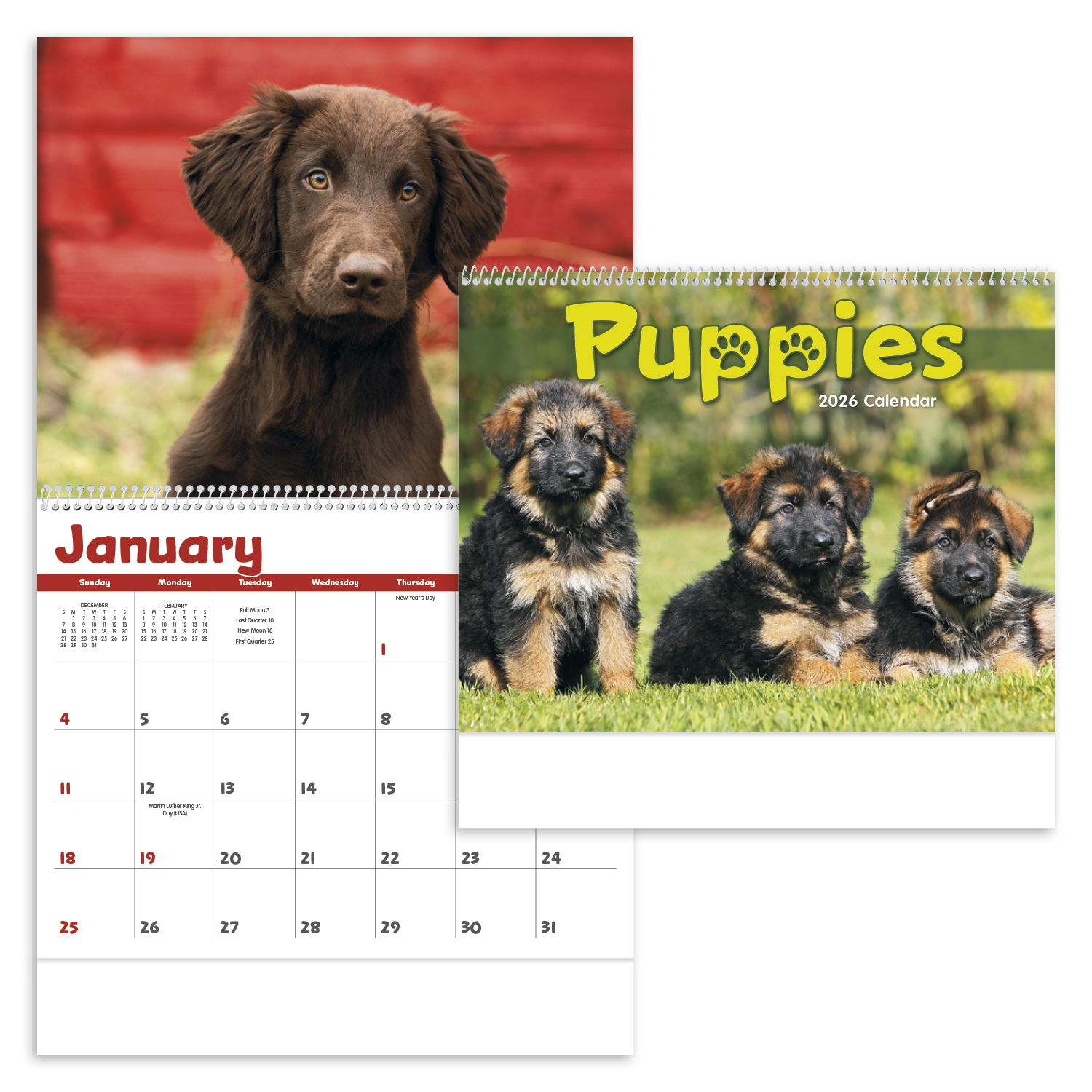 Triumph® Calendars Puppies Calendar 33