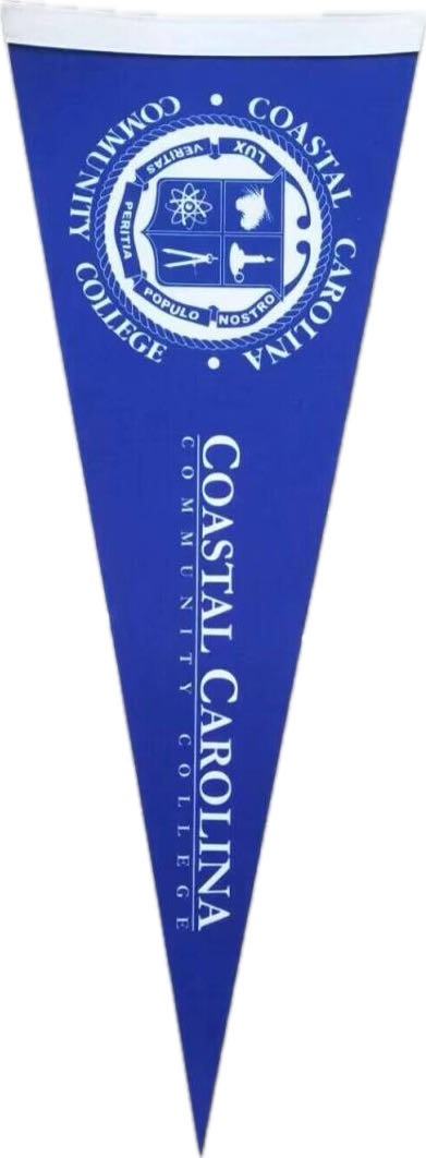 Felt pennant 1
