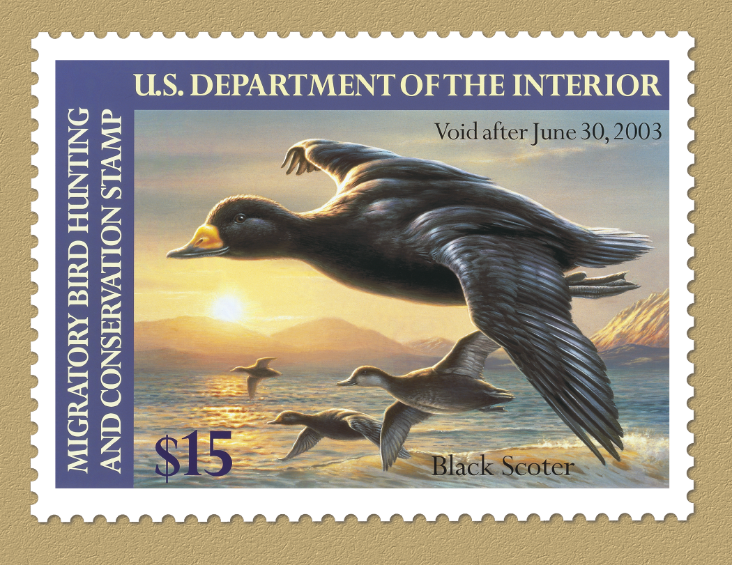 Triumph® Calendars Duck Stamps Calendar 24