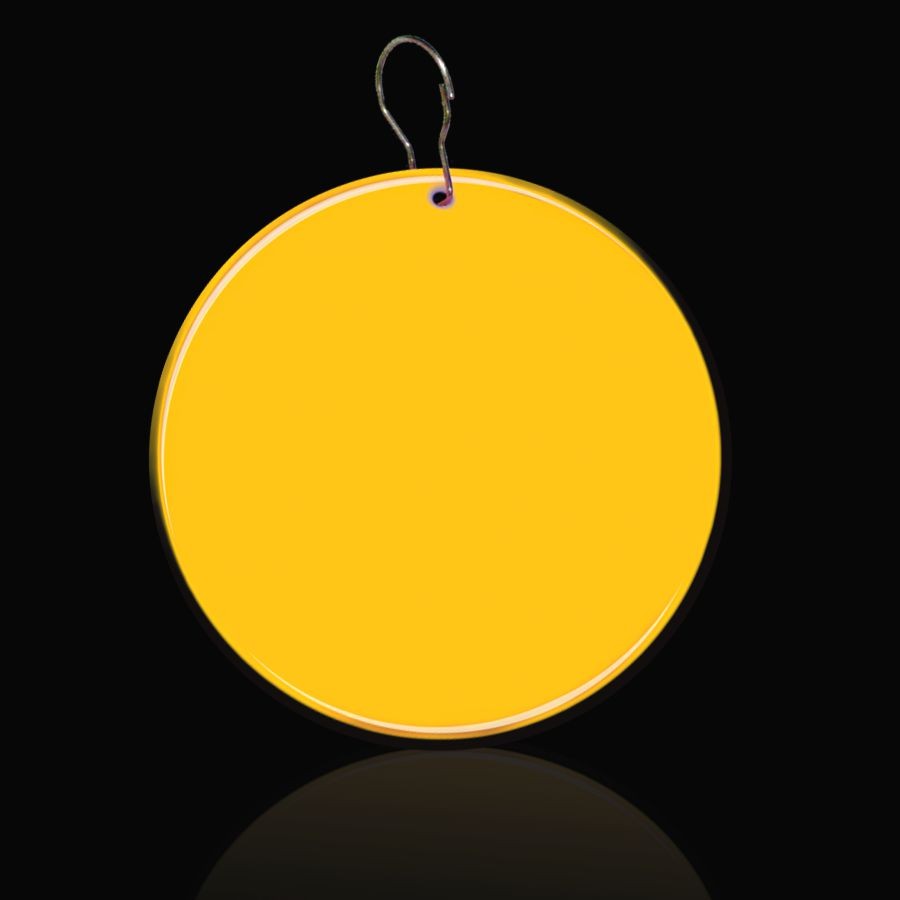 2 1/2" Medallion Badge 14
