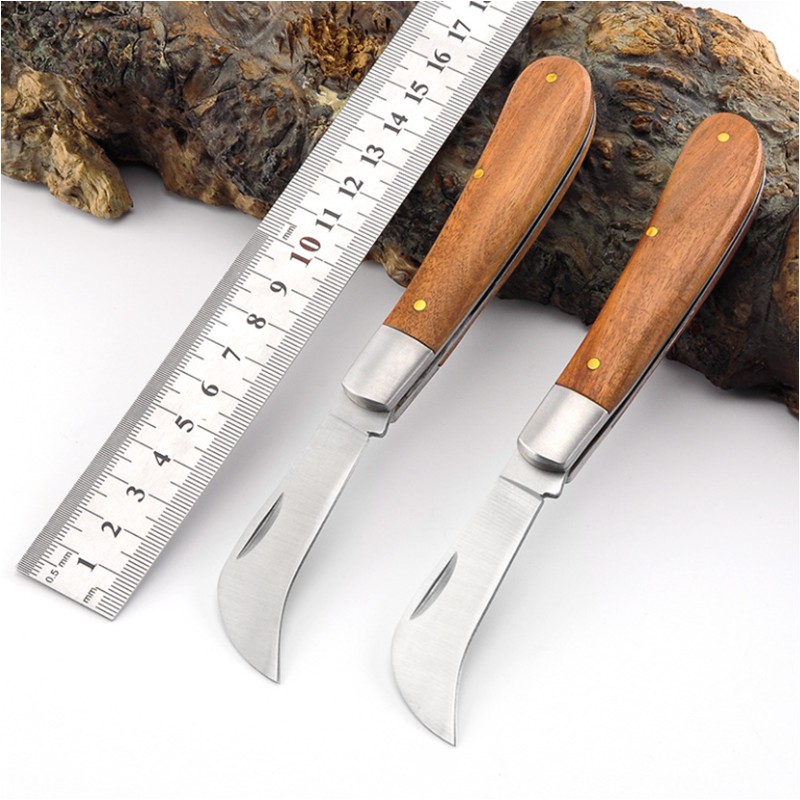 Stainless Steel Folding Pocket Knife with Wooden Handle 3