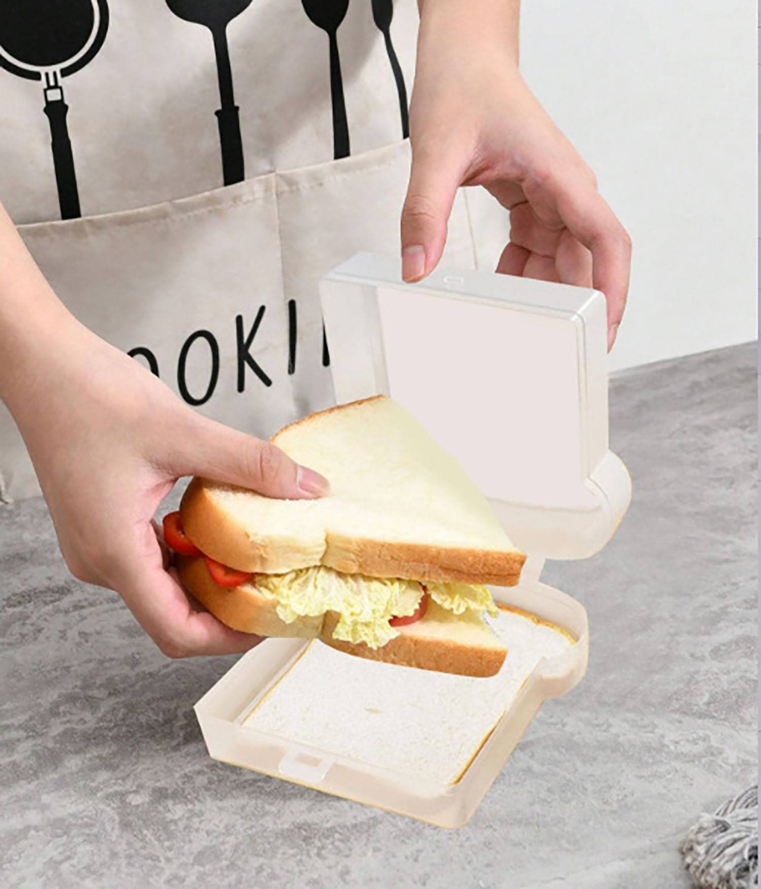 Toast Sandwich Box 6